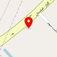 گل و گیاه چهارفصل