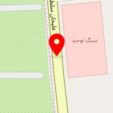 هایپر کاکتوس اچینو