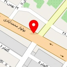 مهسان کاکتوس