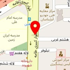 عرضه انواع کاکتوس و گیاه آپارتمانی
