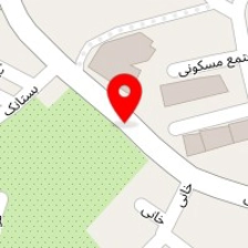 کاکتوس