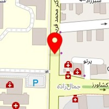 آرایشگاه یاس نقره ای