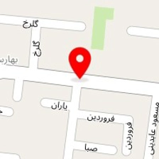 فروشگاه تم تولد و بادکنک ارایی هپی پارتی