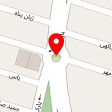 تشریفات VIP (مسگرلو)