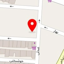 برگذار کننده تولد بچه ها