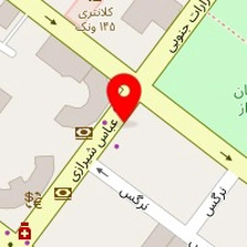 دکتر علیرضا افراشی