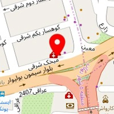 دکتر حمیده سلیمان نژاد