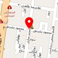 تولید و پخش عمده آلوچه و لواشک نی نی سون