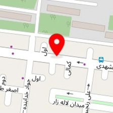 سالن زیبایی گل یخ