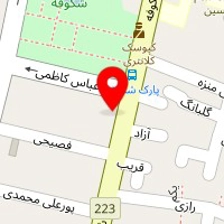 دکتر حمیدرضا شیشه گر