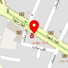 هومیک