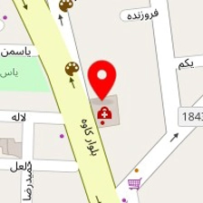 دکتر فاطمه نصر