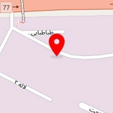 رنگ پودری پارس
