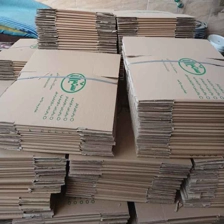 کارتن سازی پردیس