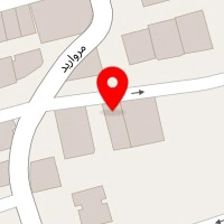 دکتر راشین آریان فر