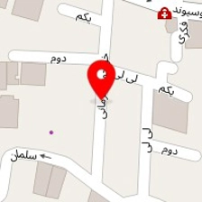 آرایشگاه بانویی آریایی