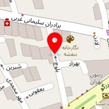 آرایشگاه لی ناز