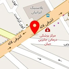 شرکت آرمان خودروی پیشگامان ایرانیان