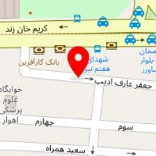 شرکت ملی صنایع پتروشیمی خلیج فارس
