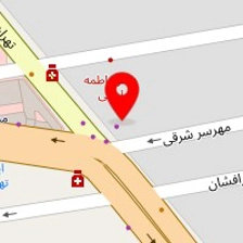 سالن زیبایی گل گونه