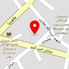 فروشگاه نانو صنعت،دوربین