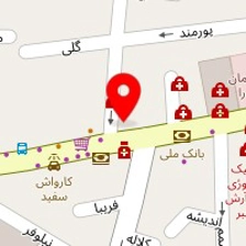 دکتر لیلا آذرنوش