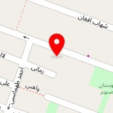 دکتر هانیه احدپور