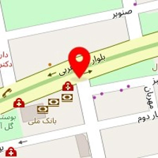 دکتر نیلوفر نوشیروانی