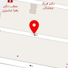 شرکت دینا سیستم نوین