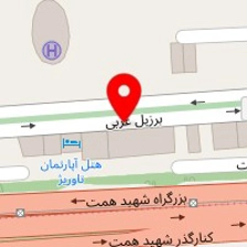 رسام بخار گستر