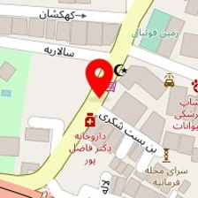دکتر زینب نوشاد