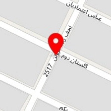 دکتر فاطمه بزرگمهر