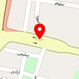 دکتر نسیم عزیزی