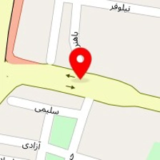 دکتر نسیم عزیزی