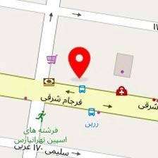 دکتر حمیدرضا الیکی