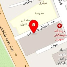 دکتر محمد الیاسی