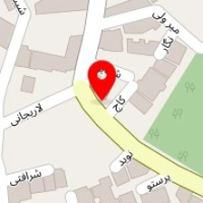دکتر نازلی نیساری