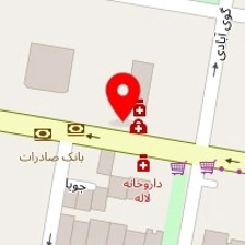 دکتر شاهین شادالوئی