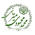 لوگوی وکیل محمد محمودی میرهاشمی