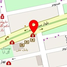 دکتر مریم شمسایی