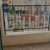 حفاظ سازی نظری