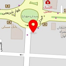 دکتر سیاوش پیروزفر