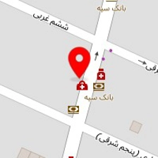 دکتر جاوید شجاعی