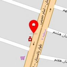 دکتر محمدرضی نبوی