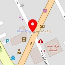 دکتر محمدحسین زرین