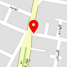 دکتر الناز میرزایی