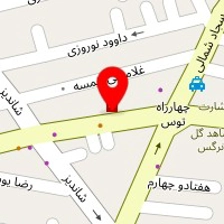 جلوبندی سازی اتومبیل