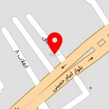 جلوبندی و کمک فنر آریا