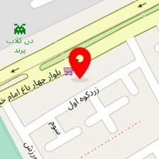 جلوبندی و کمک فنر سازی