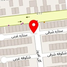 تشخیص رنگ و مرکز کارشناسی خودرو